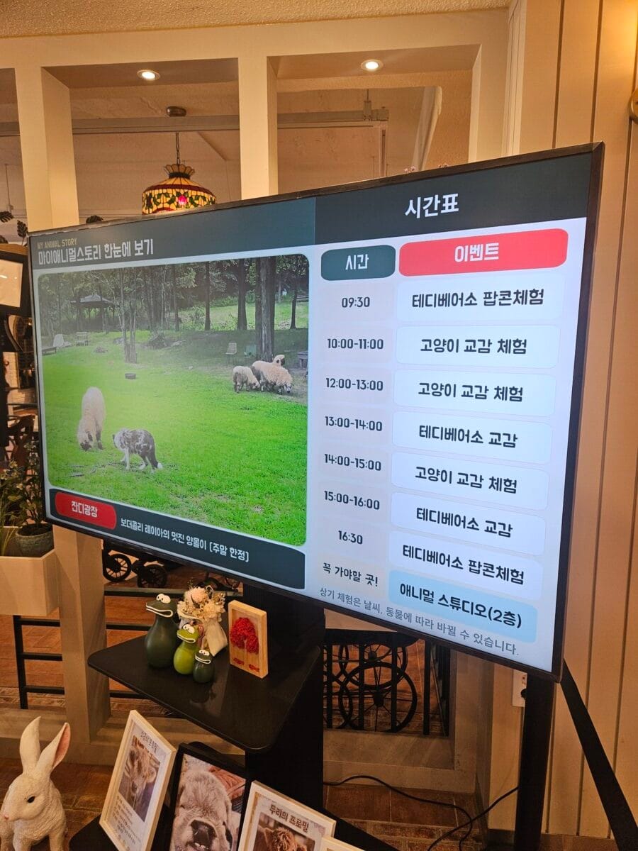 방문 당시 동물 교감 프로그램 시간 안내판